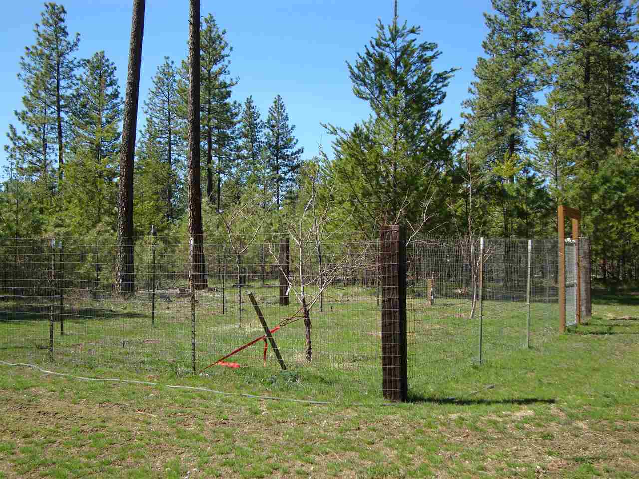 39413 North Jackson Road Elk, WA 99009 - Photo 3 of 20