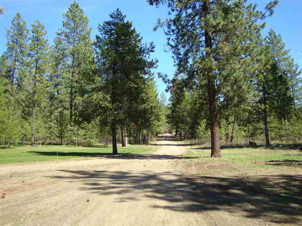39413 North Jackson Road Elk, WA 99009 - Photo 8 of 20