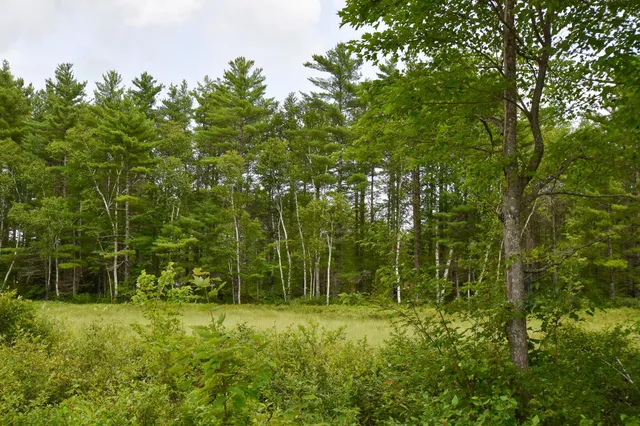 $275,000 | 10 Witham Island, Brownville, ME 04414