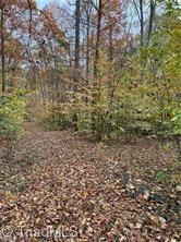 0 Aladdin Road Pfafftown, NC 27040 - Photo 8 of 17