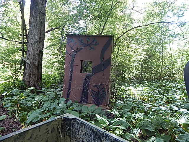 6111 Clise Road Bath, MI 48808 - Photo 66 of 76 DSCN9331