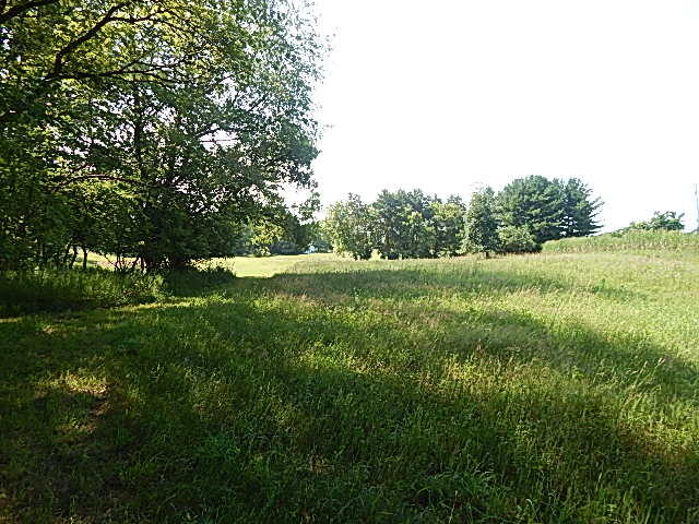 6111 Clise Road Bath, MI 48808 - Photo 74 of 76 DSCN9394
