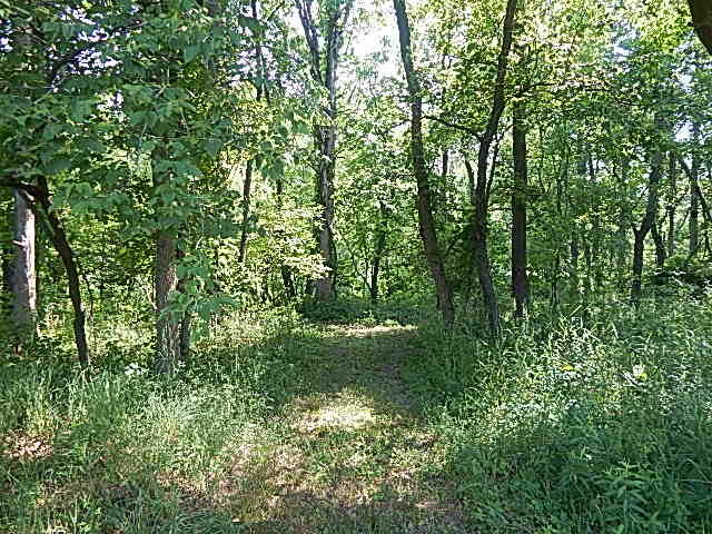 6111 Clise Road Bath, MI 48808 - Photo 75 of 76 DSCN9395