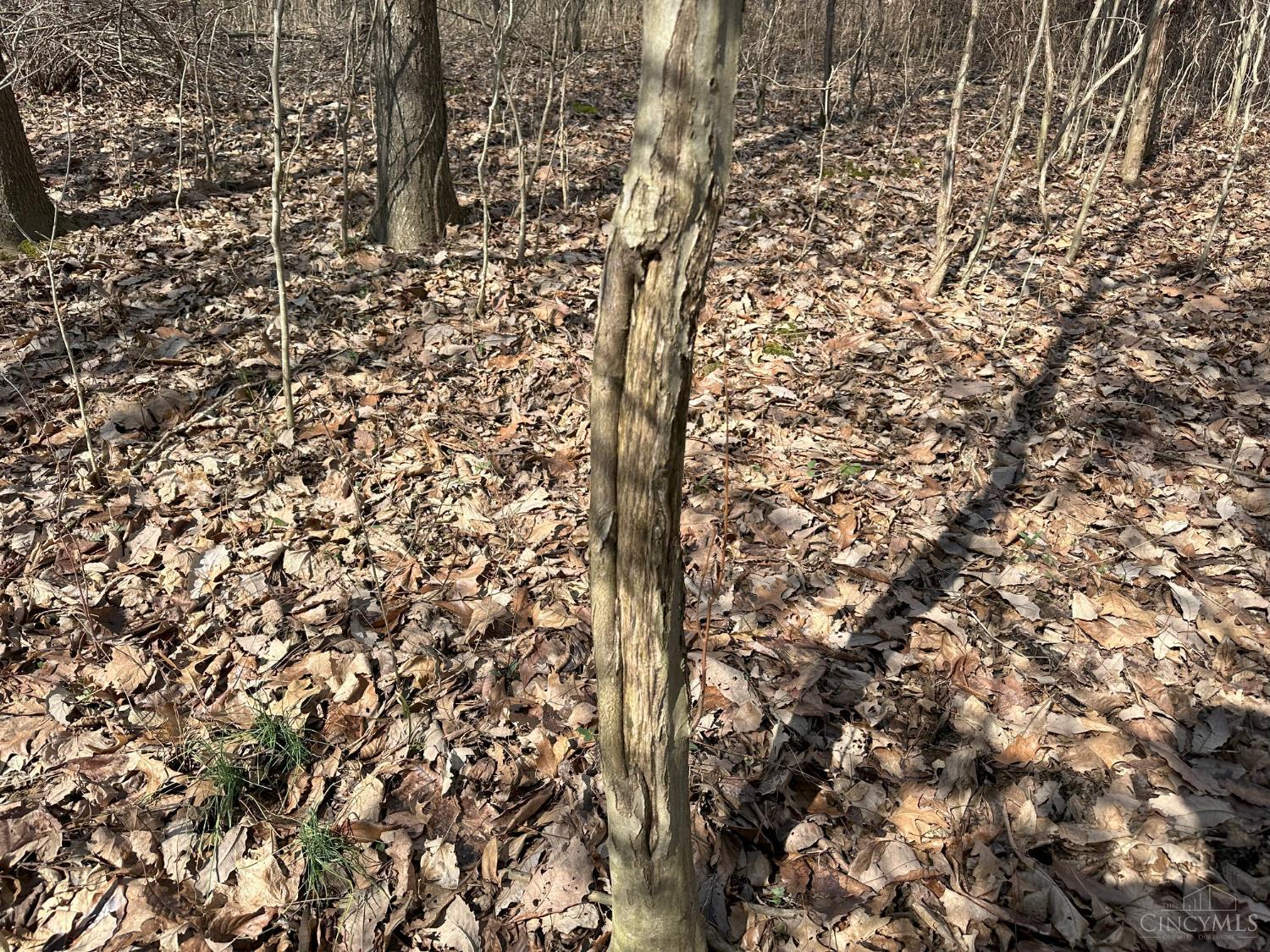0 Wilson Road Winchester, OH 45697 - Photo 33 of 69
