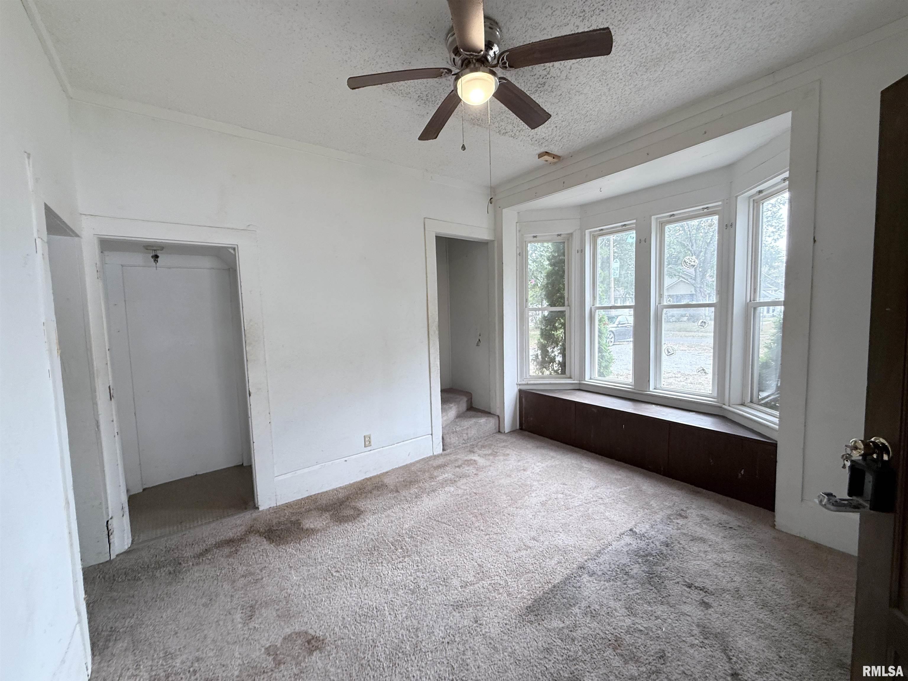 111 Lincoln Street Anna, IL 62906 - Photo 4 of 40