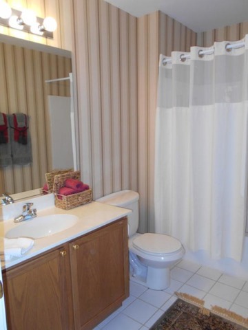 3040 Crystal Rock Road, Unit 3040 Naperville, IL 60564 - Photo 14 of 22 a bathroom with a sink a toilet and shower curtain