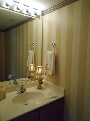 3040 Crystal Rock Road, Unit 3040 Naperville, IL 60564 - Photo 19 of 22 a bathroom with a sink and a mirror