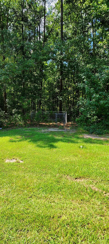 1074 Bennock Mill Road Augusta, GA 30906 - Photo 56 of 64