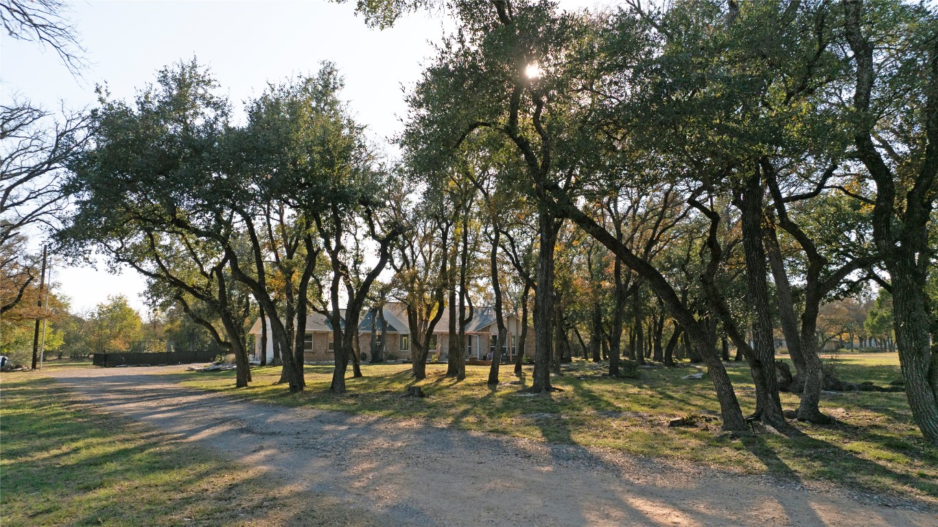 3400 Deer Trail Georgetown, TX 78628 - Photo 4 of 40 Mature trees provide privacy for this 2.5 acre property