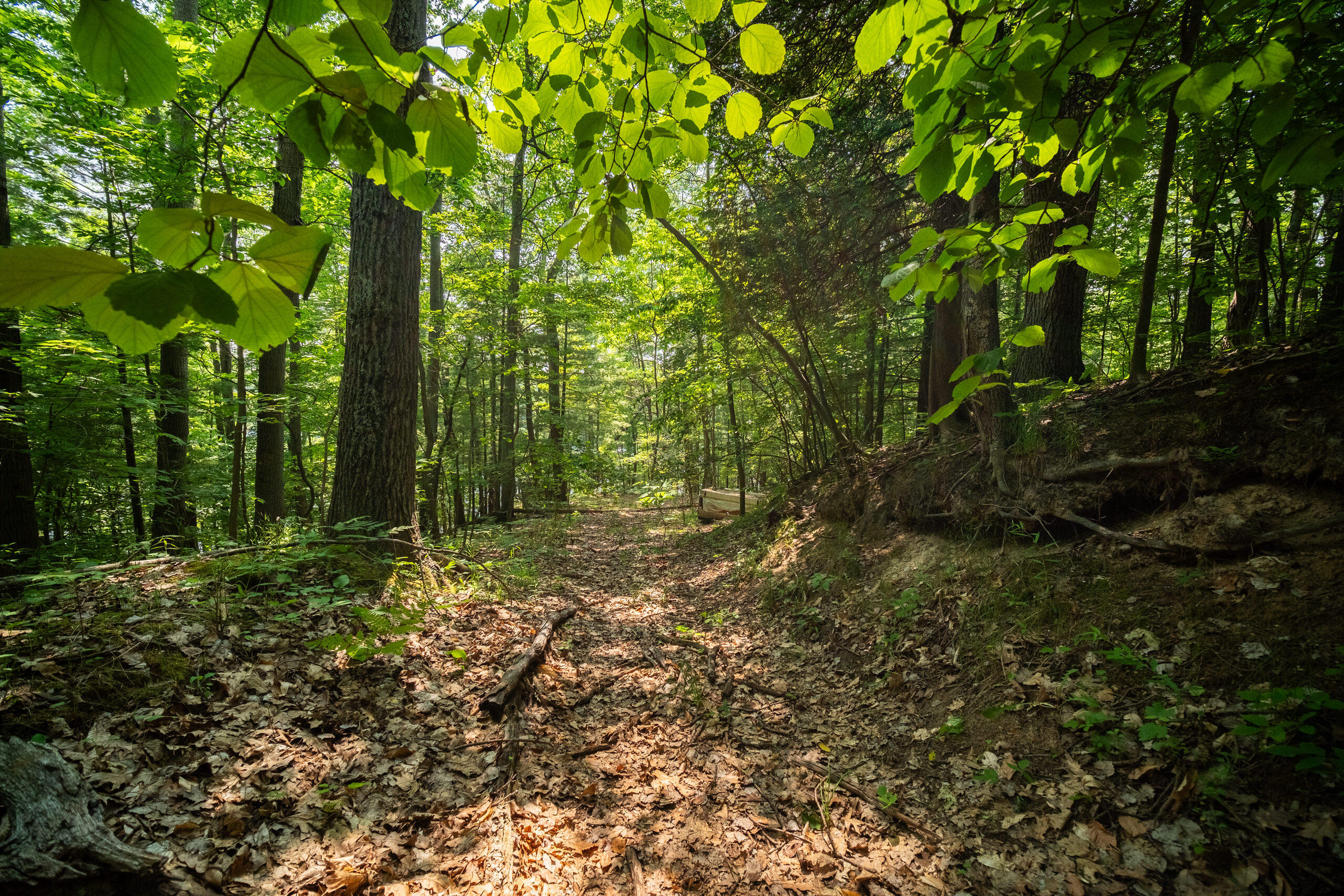 East Trail Ridge Road, Unit 5658 Fountain, MI 49410 - Photo 11 of 38 Additional Photo