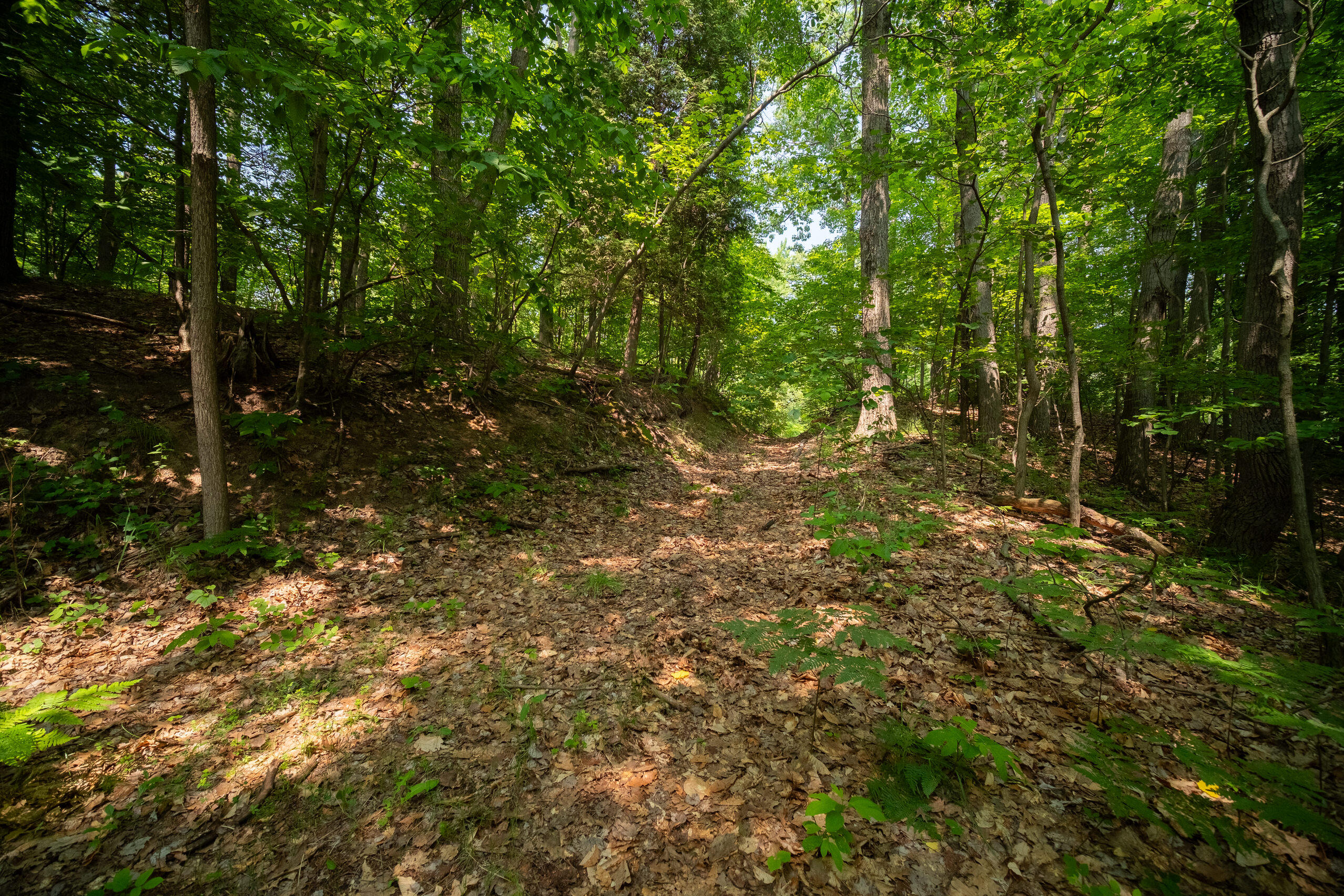East Trail Ridge Road, Unit 5658 Fountain, MI 49410 - Photo 13 of 38 Additional Photo