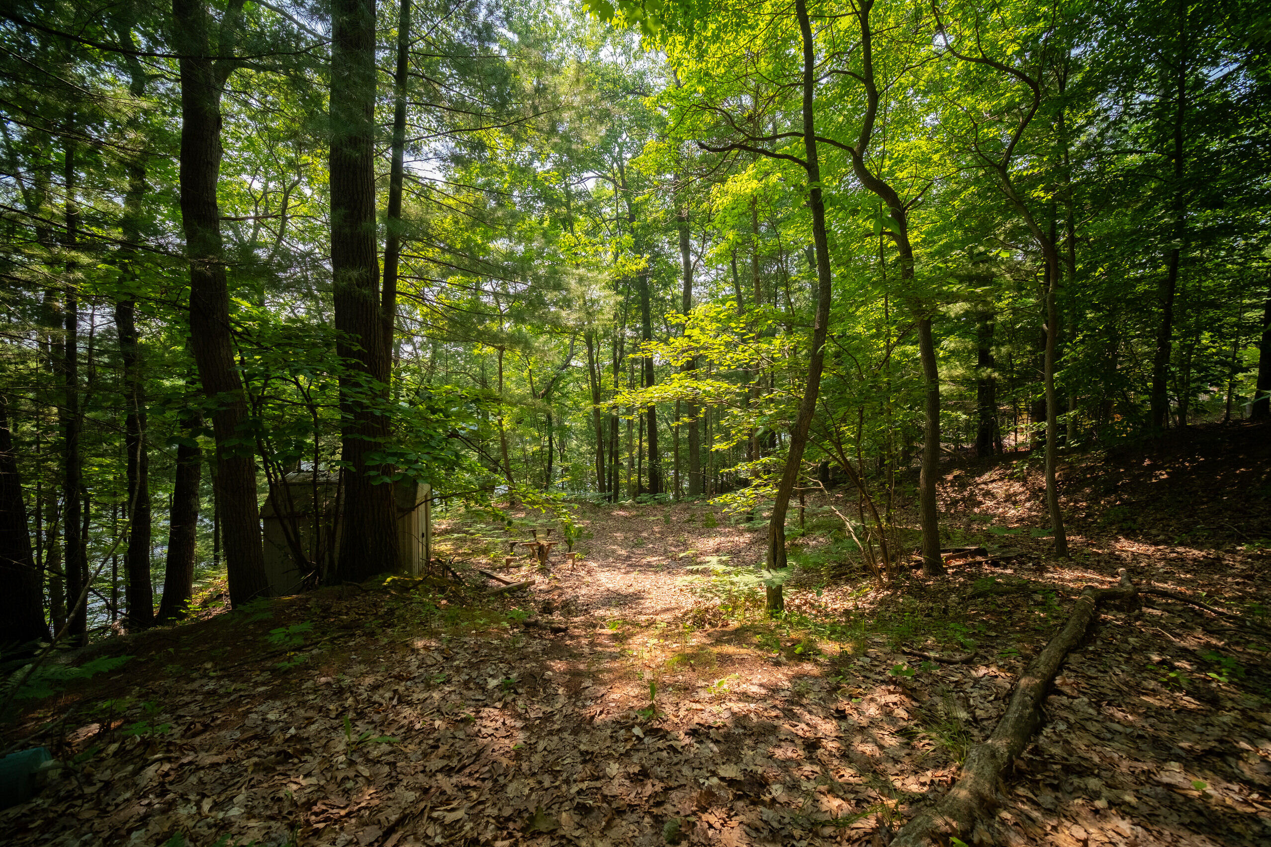 East Trail Ridge Road, Unit 5658 Fountain, MI 49410 - Photo 14 of 38 Additional Photo