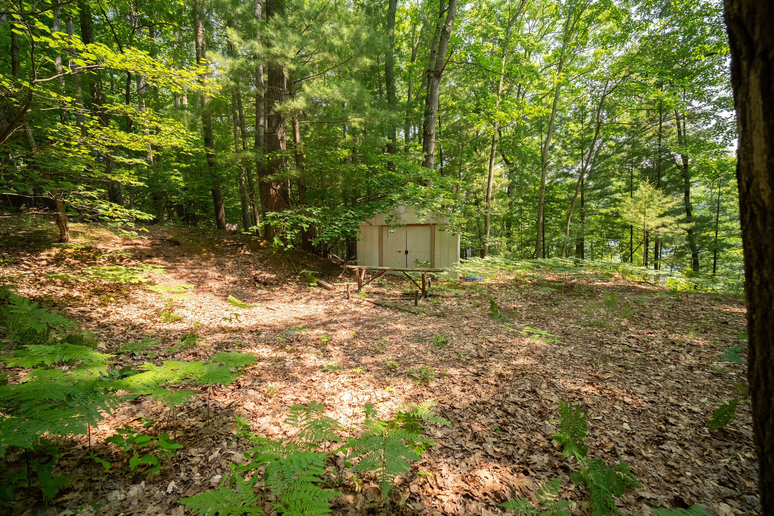East Trail Ridge Road, Unit 5658 Fountain, MI 49410 - Photo 16 of 38 Additional Photo