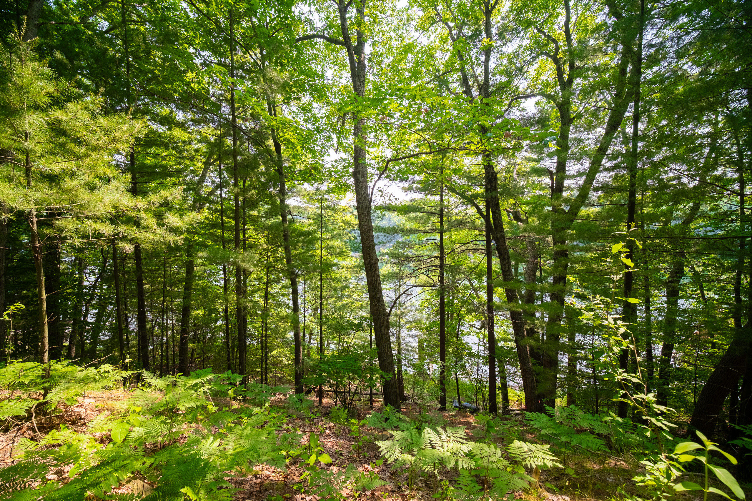 East Trail Ridge Road, Unit 5658 Fountain, MI 49410 - Photo 18 of 38 Additional Photo