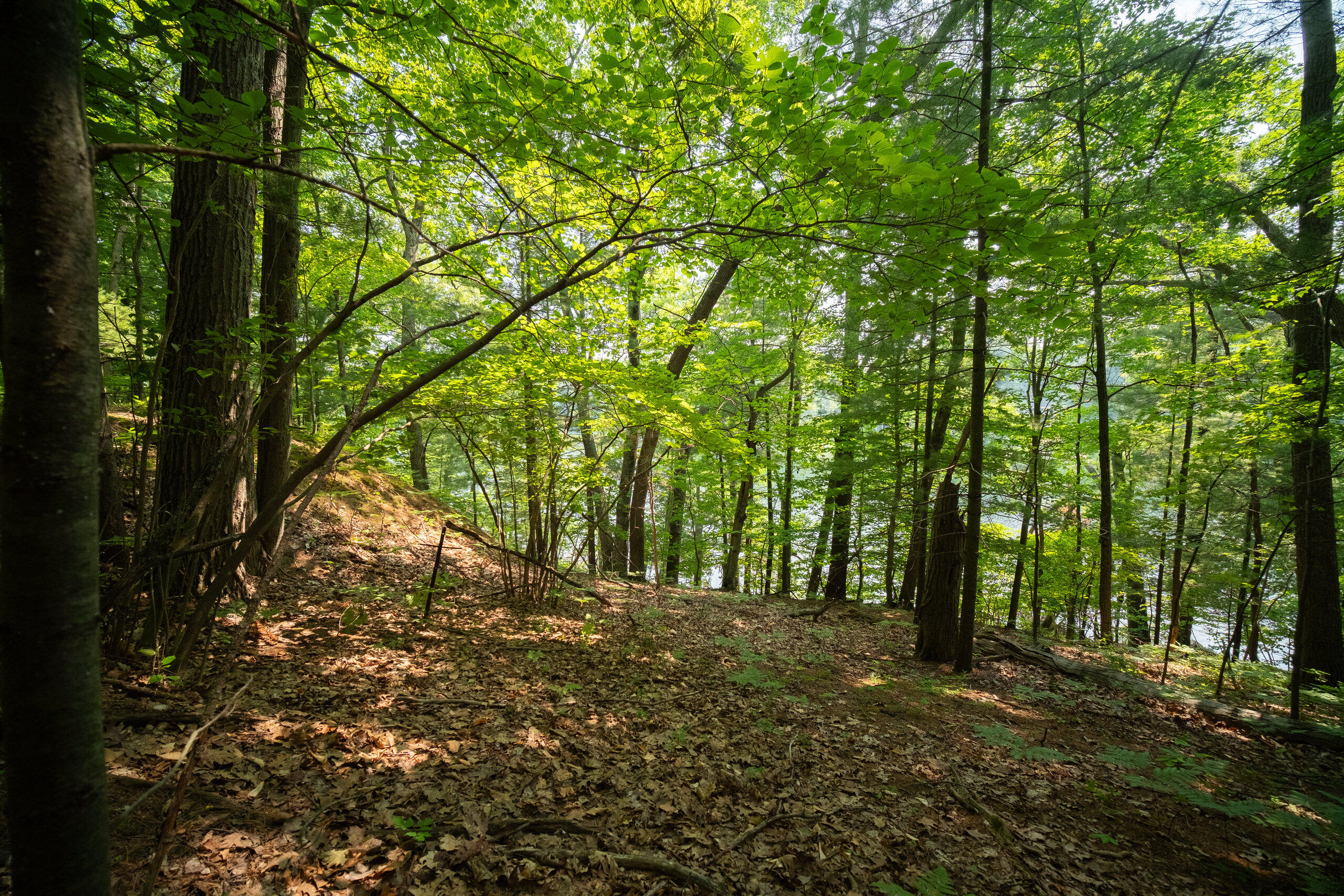 East Trail Ridge Road, Unit 5658 Fountain, MI 49410 - Photo 20 of 38 Additional Photo