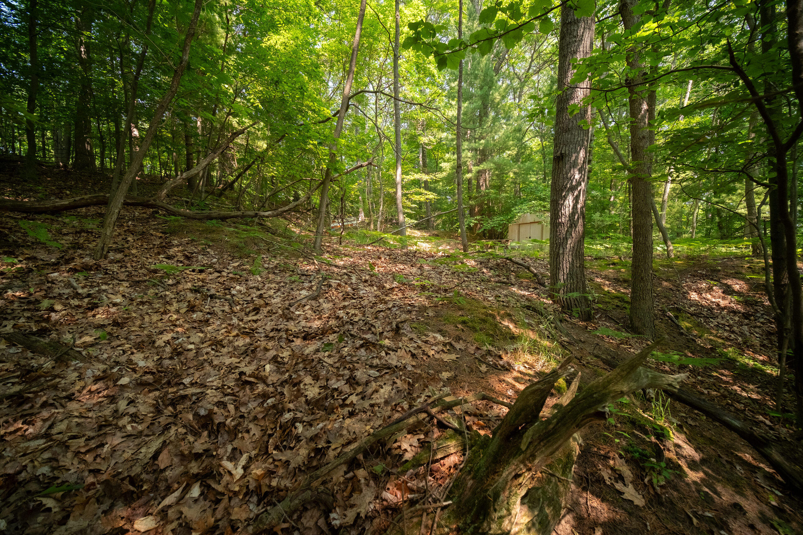 East Trail Ridge Road, Unit 5658 Fountain, MI 49410 - Photo 21 of 38 Additional Photo