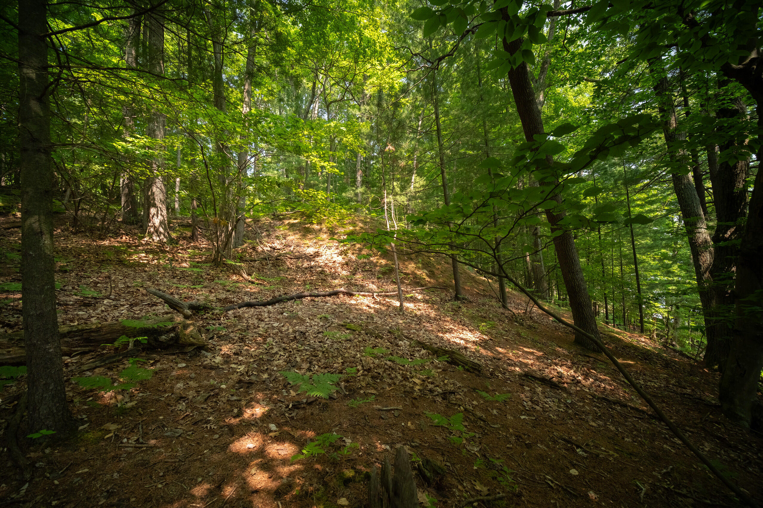 East Trail Ridge Road, Unit 5658 Fountain, MI 49410 - Photo 23 of 38 Additional Photo