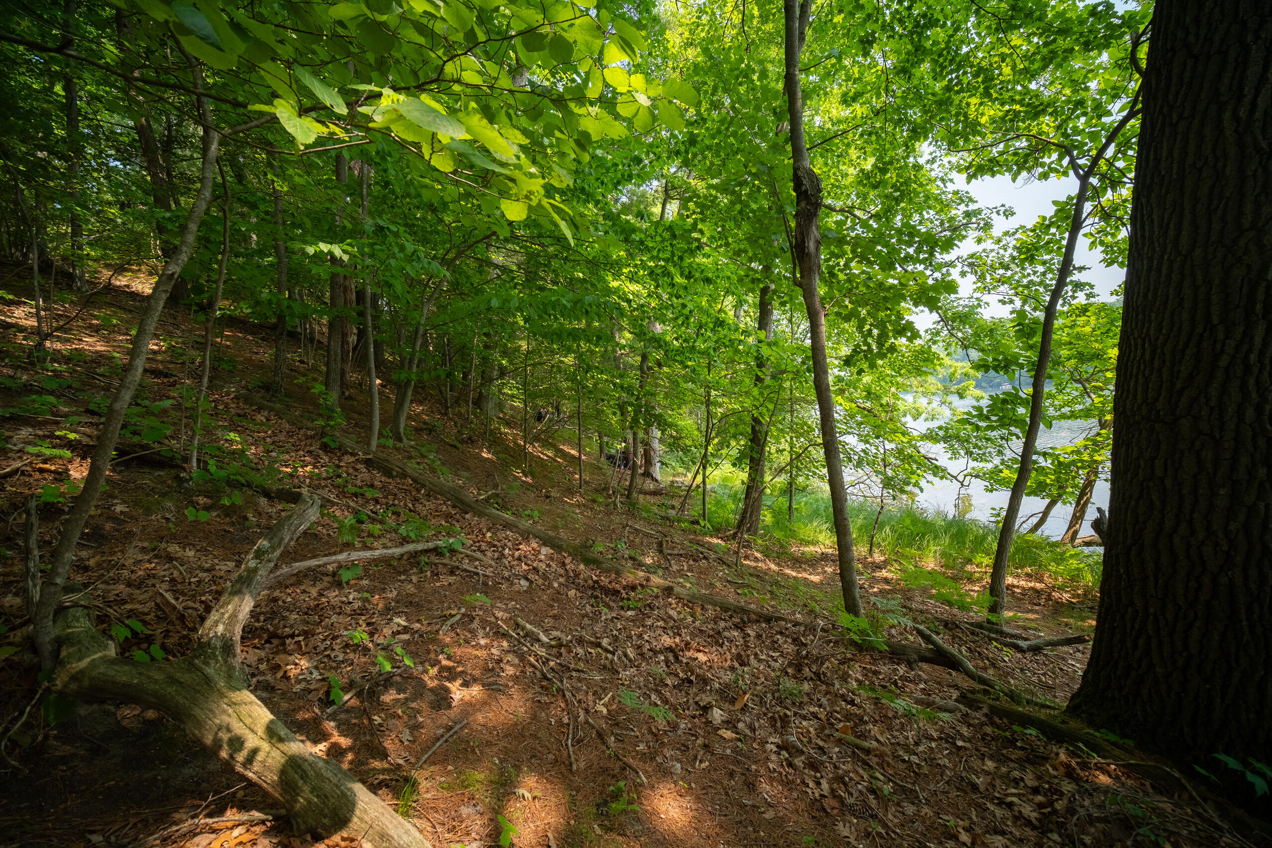 East Trail Ridge Road, Unit 5658 Fountain, MI 49410 - Photo 24 of 38 Additional Photo