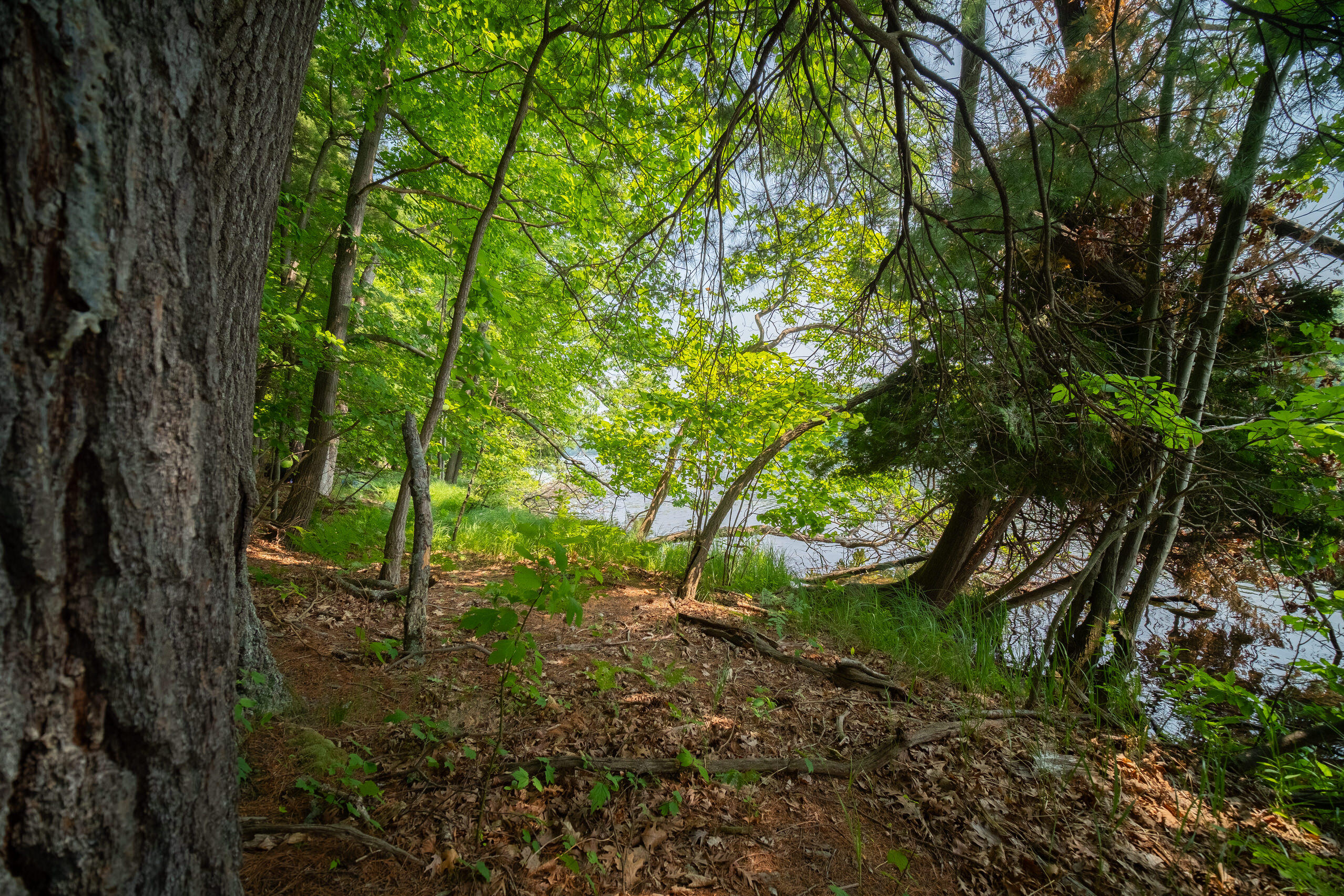 East Trail Ridge Road, Unit 5658 Fountain, MI 49410 - Photo 25 of 38 Additional Photo