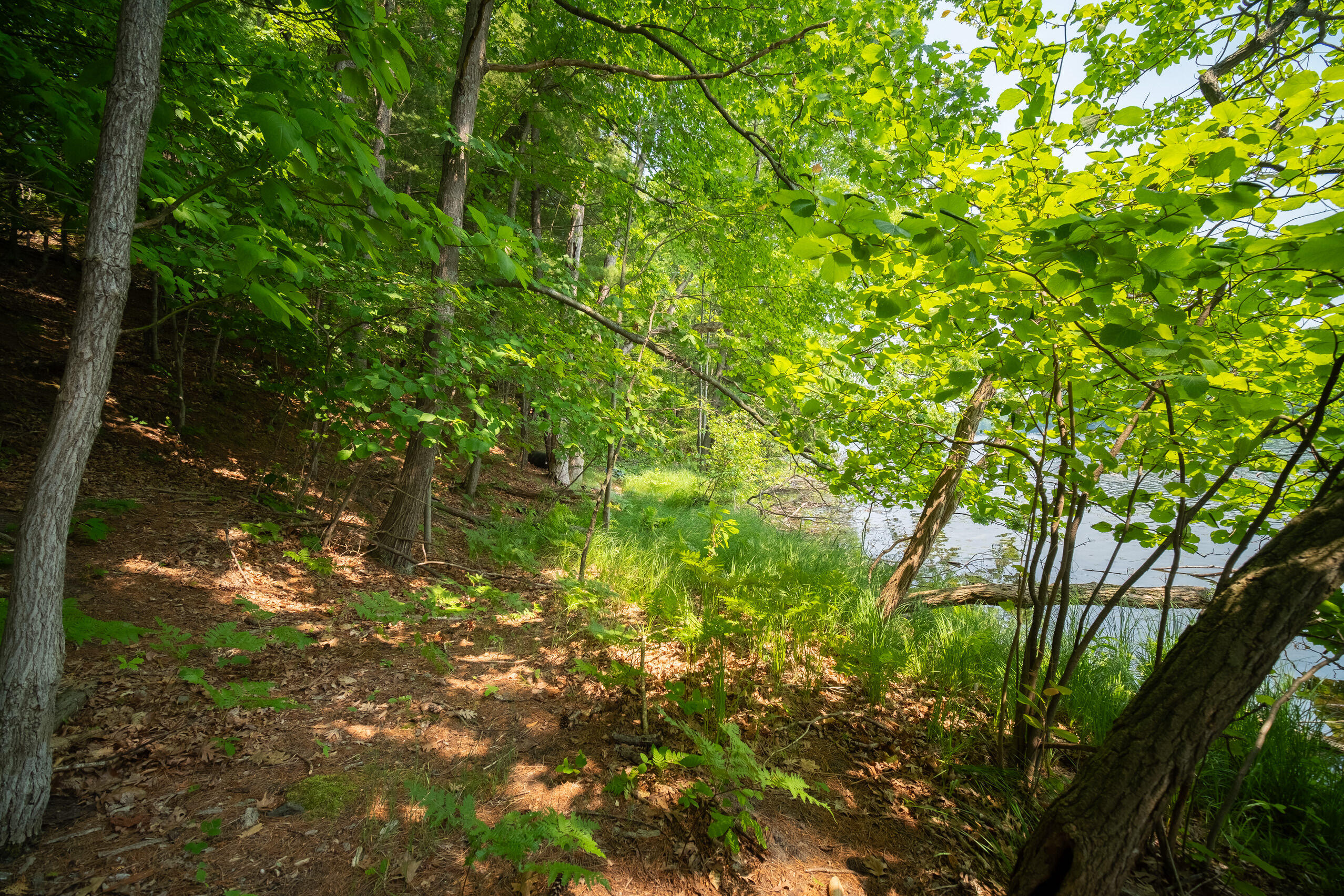East Trail Ridge Road, Unit 5658 Fountain, MI 49410 - Photo 26 of 38 Additional Photo