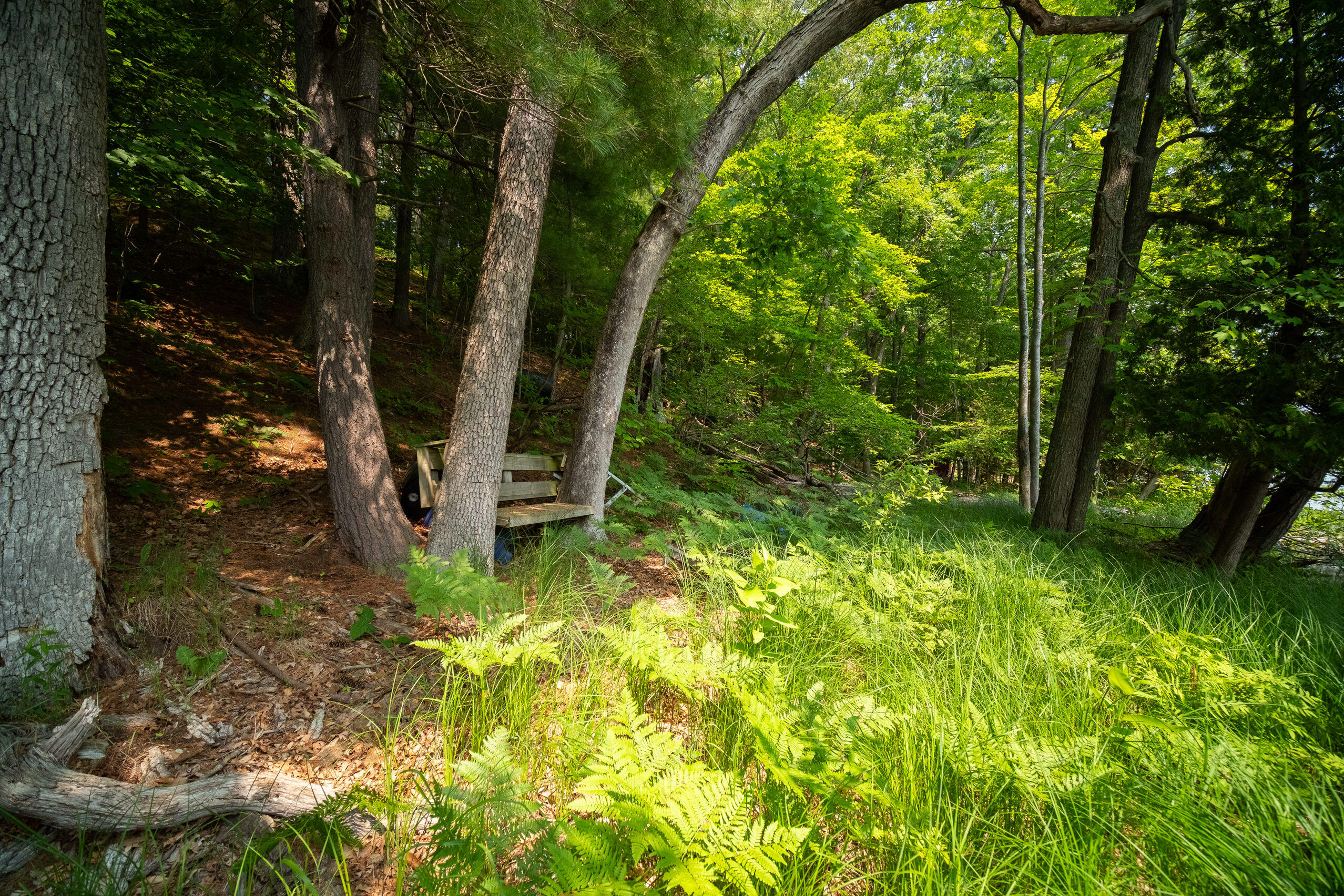 East Trail Ridge Road, Unit 5658 Fountain, MI 49410 - Photo 27 of 38 Additional Photo