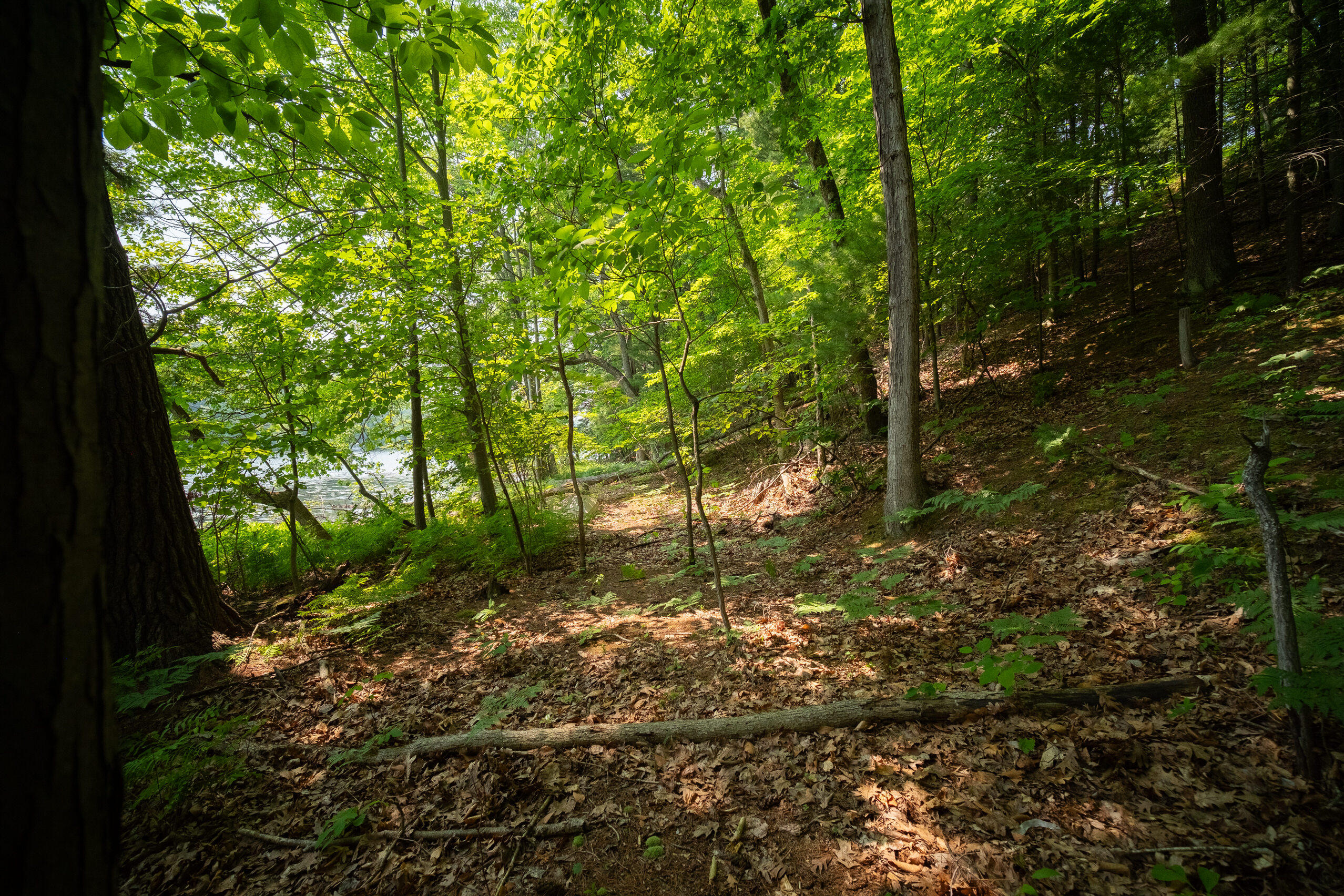 East Trail Ridge Road, Unit 5658 Fountain, MI 49410 - Photo 29 of 38 Additional Photo