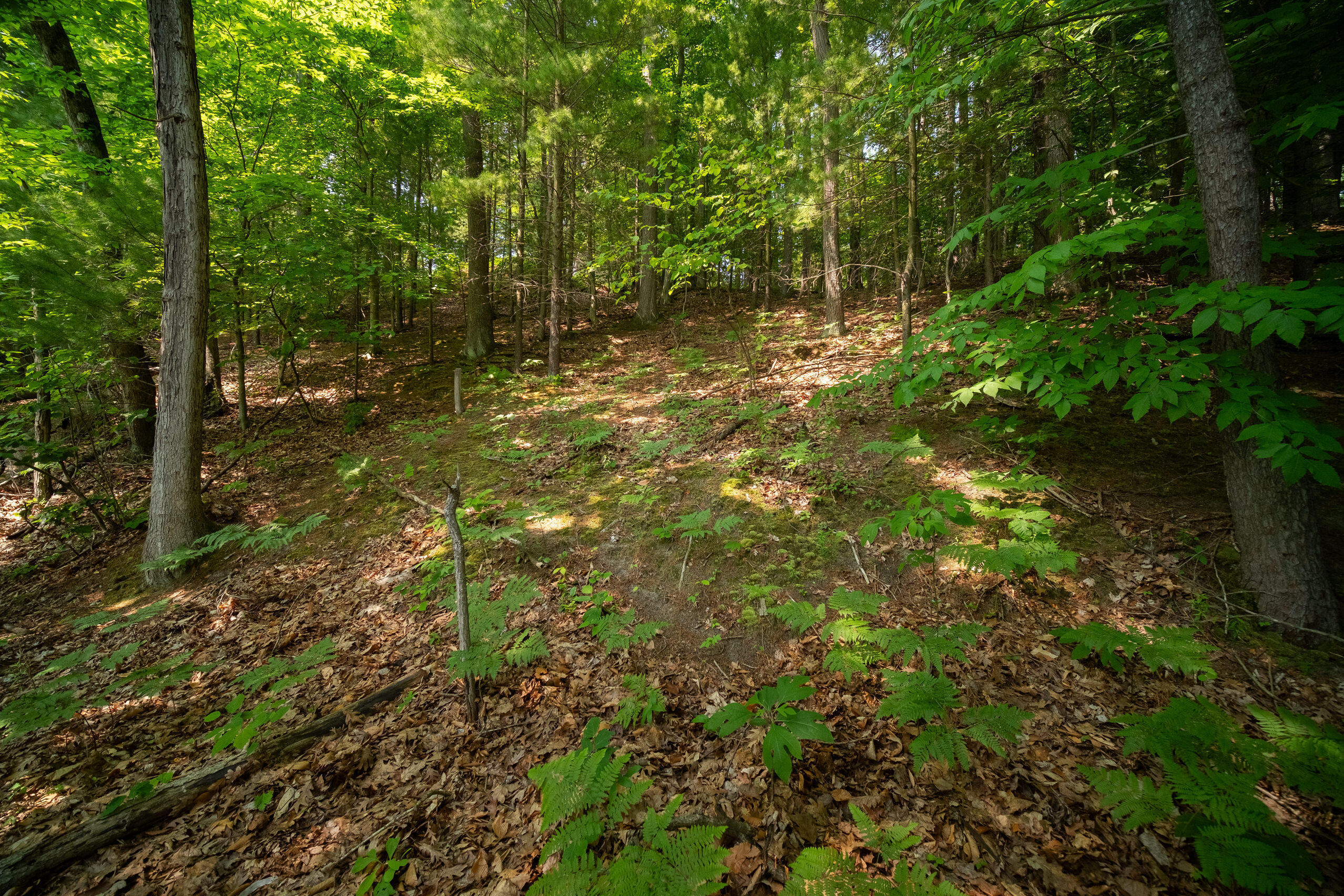 East Trail Ridge Road, Unit 5658 Fountain, MI 49410 - Photo 30 of 38 Additional Photo