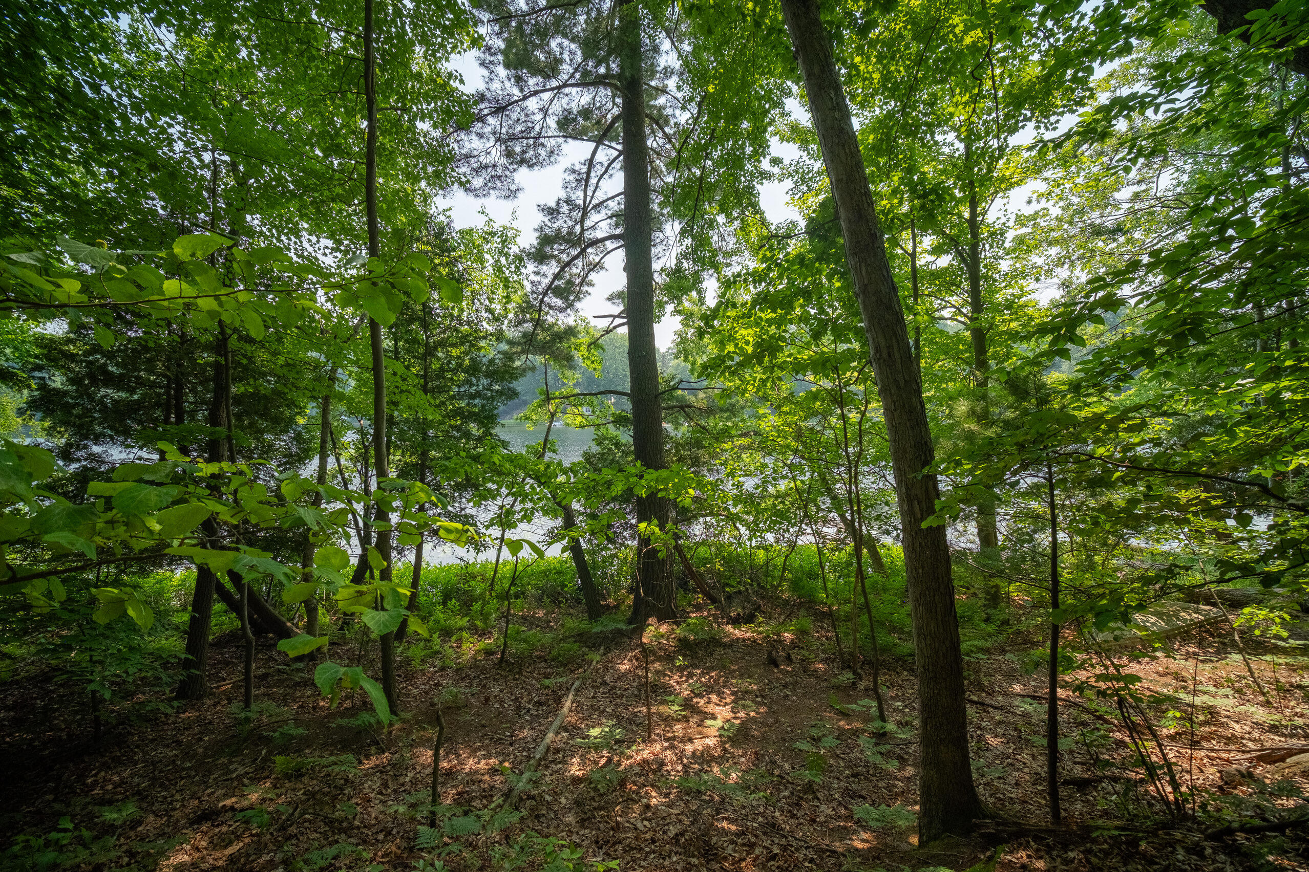East Trail Ridge Road, Unit 5658 Fountain, MI 49410 - Photo 31 of 38 Additional Photo