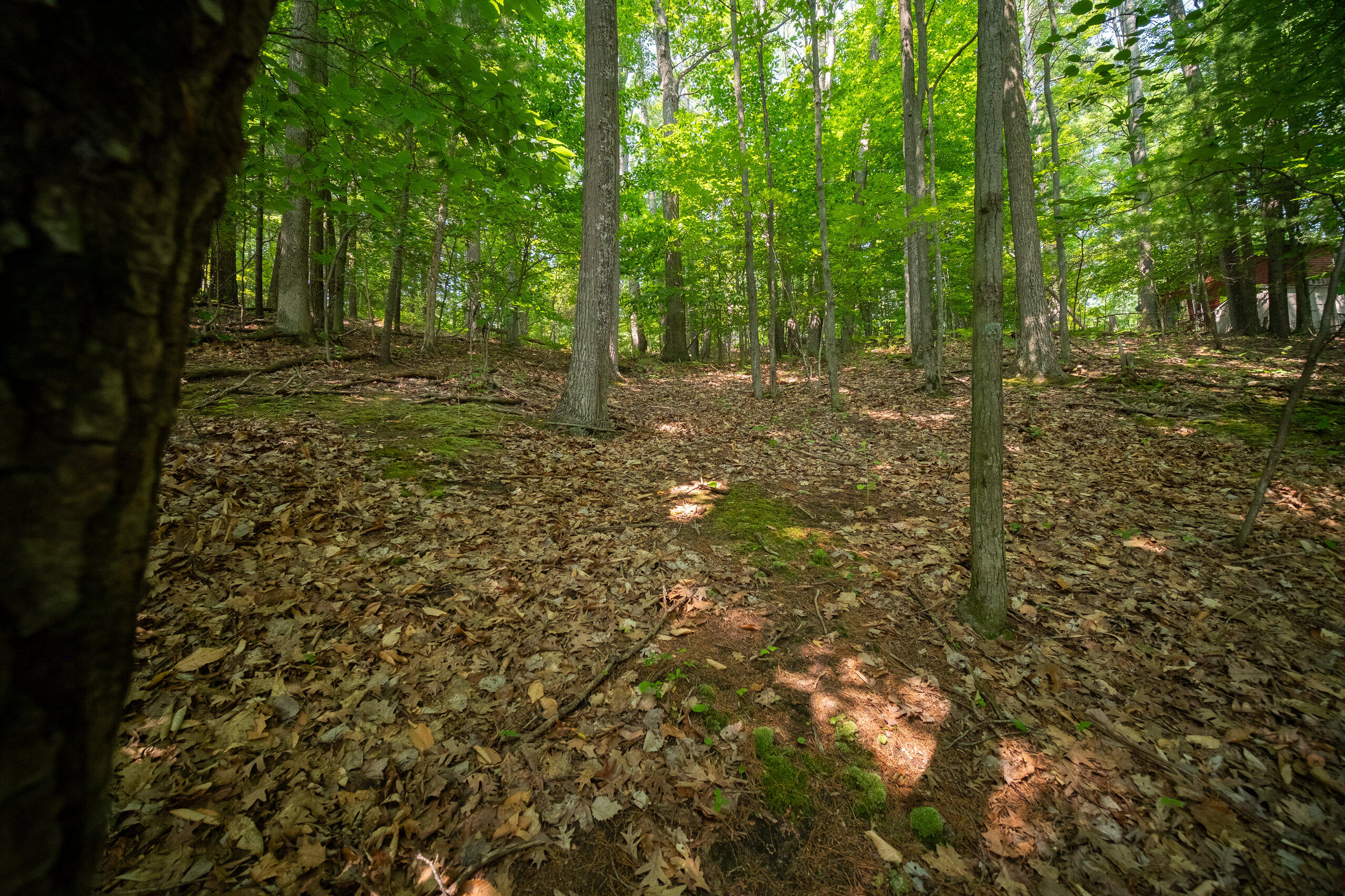 East Trail Ridge Road, Unit 5658 Fountain, MI 49410 - Photo 32 of 38 Additional Photo