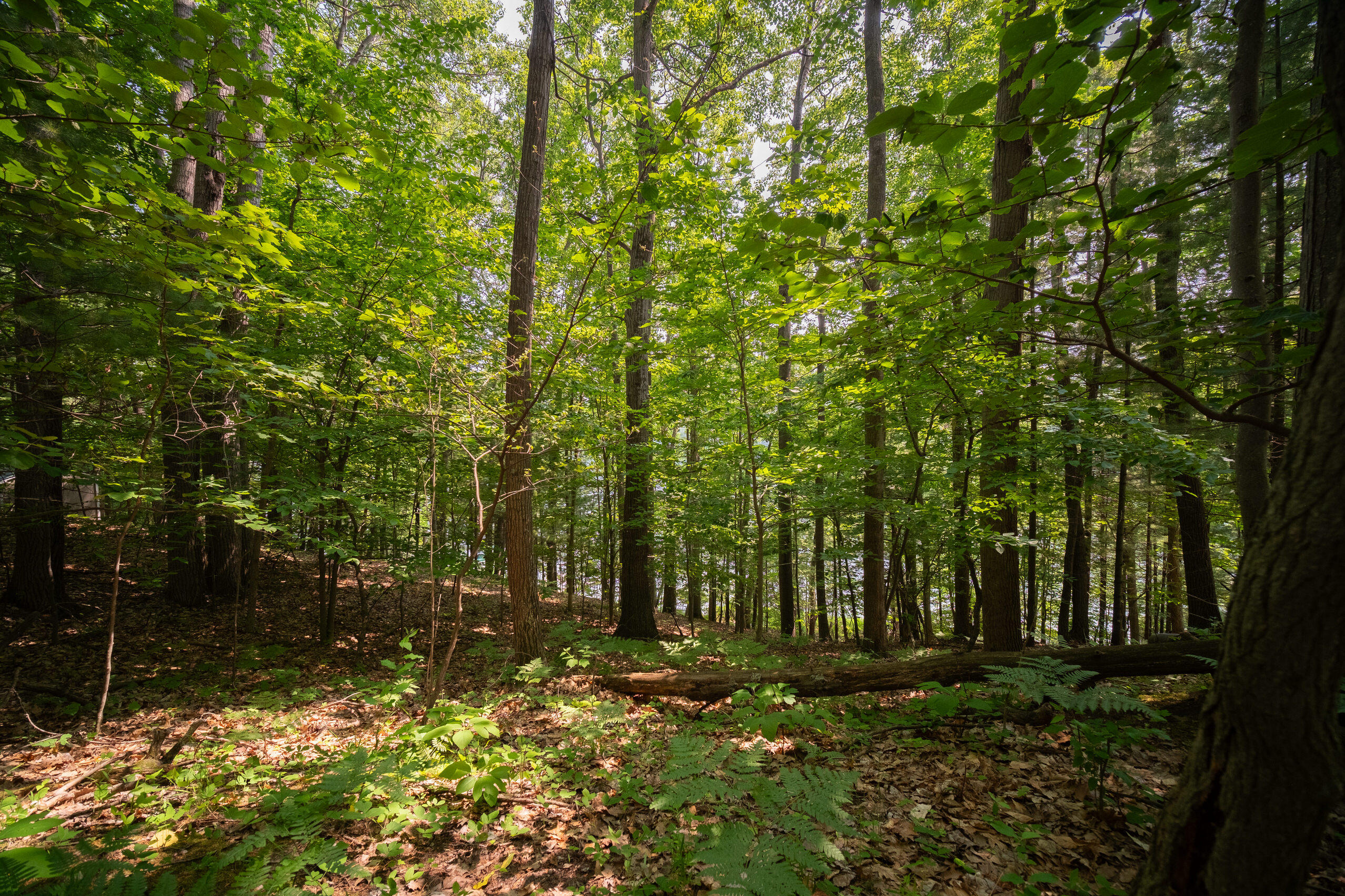 East Trail Ridge Road, Unit 5658 Fountain, MI 49410 - Photo 33 of 38 Additional Photo
