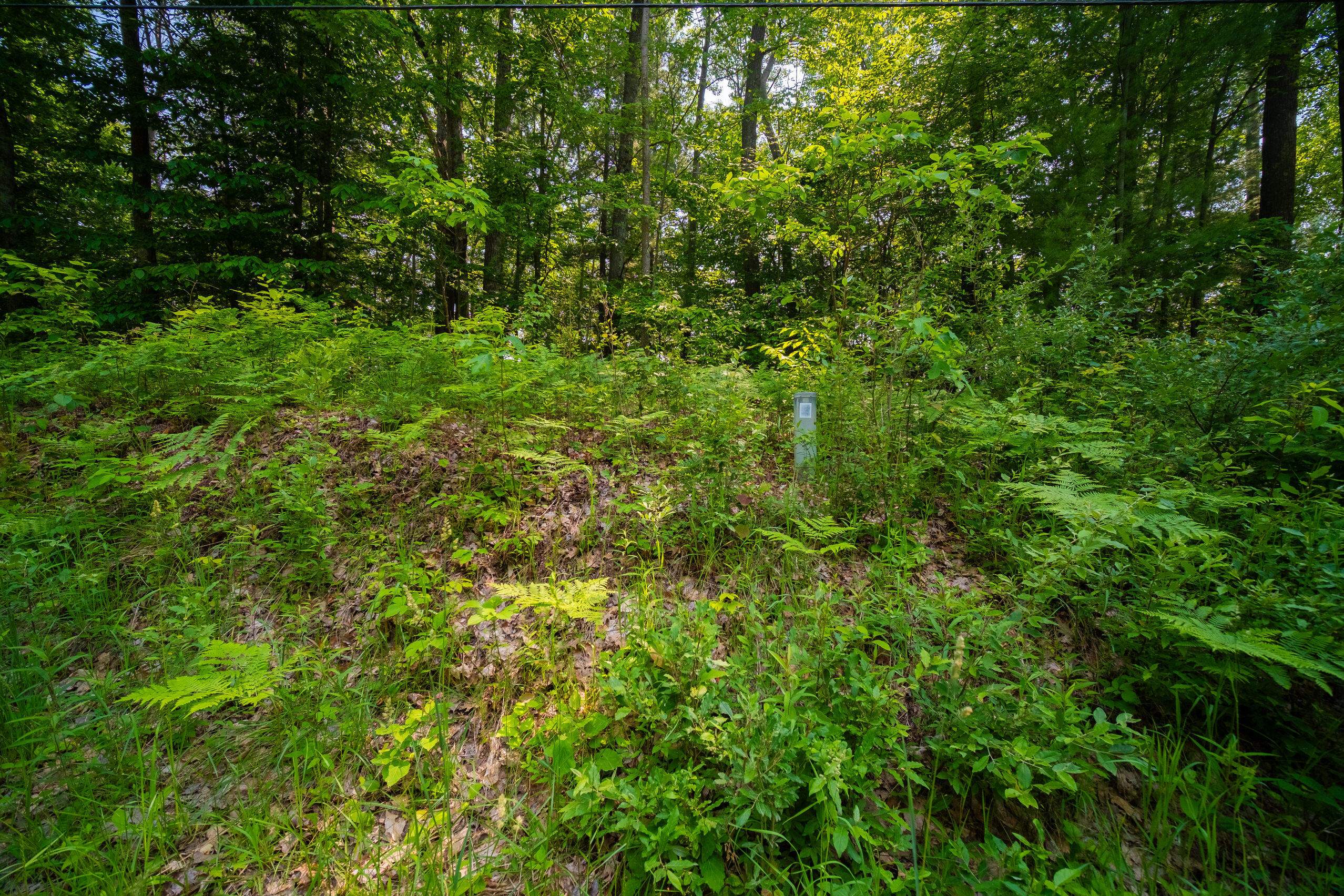East Trail Ridge Road, Unit 5658 Fountain, MI 49410 - Photo 34 of 38 Additional Photo