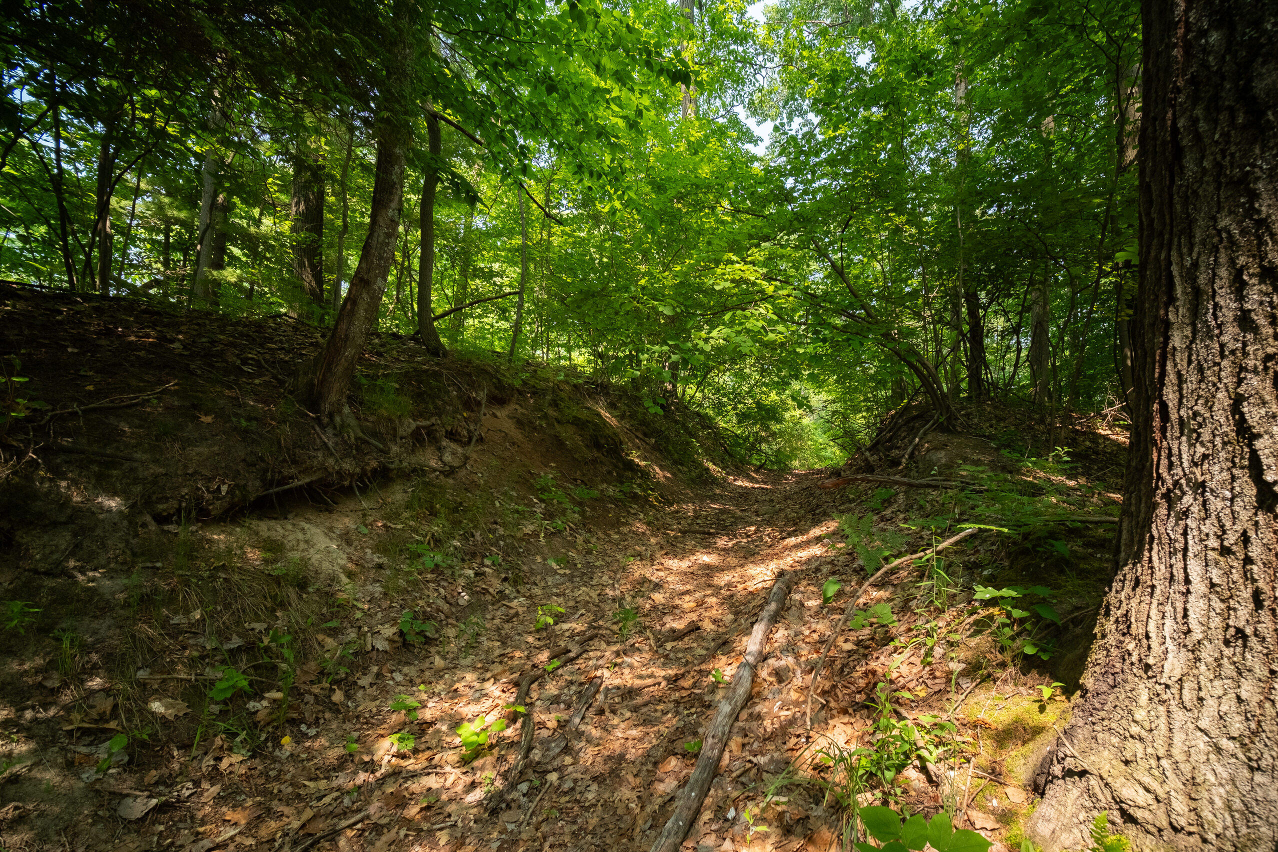 East Trail Ridge Road, Unit 5658 Fountain, MI 49410 - Photo 4 of 38 Additional Photo
