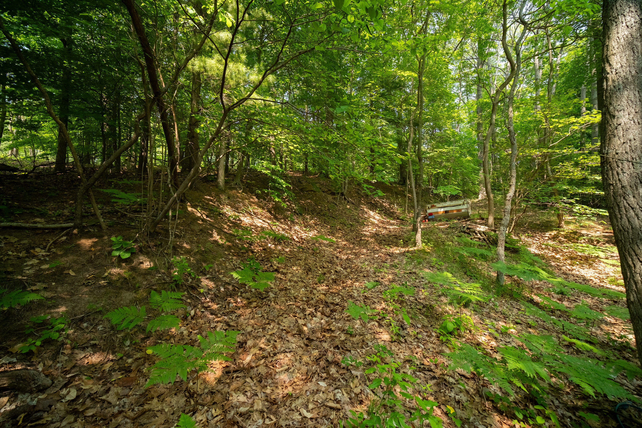 East Trail Ridge Road, Unit 5658 Fountain, MI 49410 - Photo 5 of 38 Additional Photo