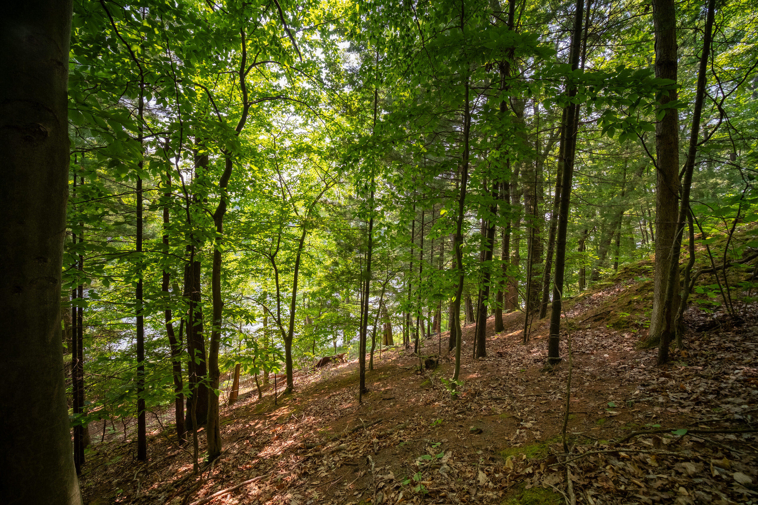 East Trail Ridge Road, Unit 5658 Fountain, MI 49410 - Photo 6 of 38 Additional Photo
