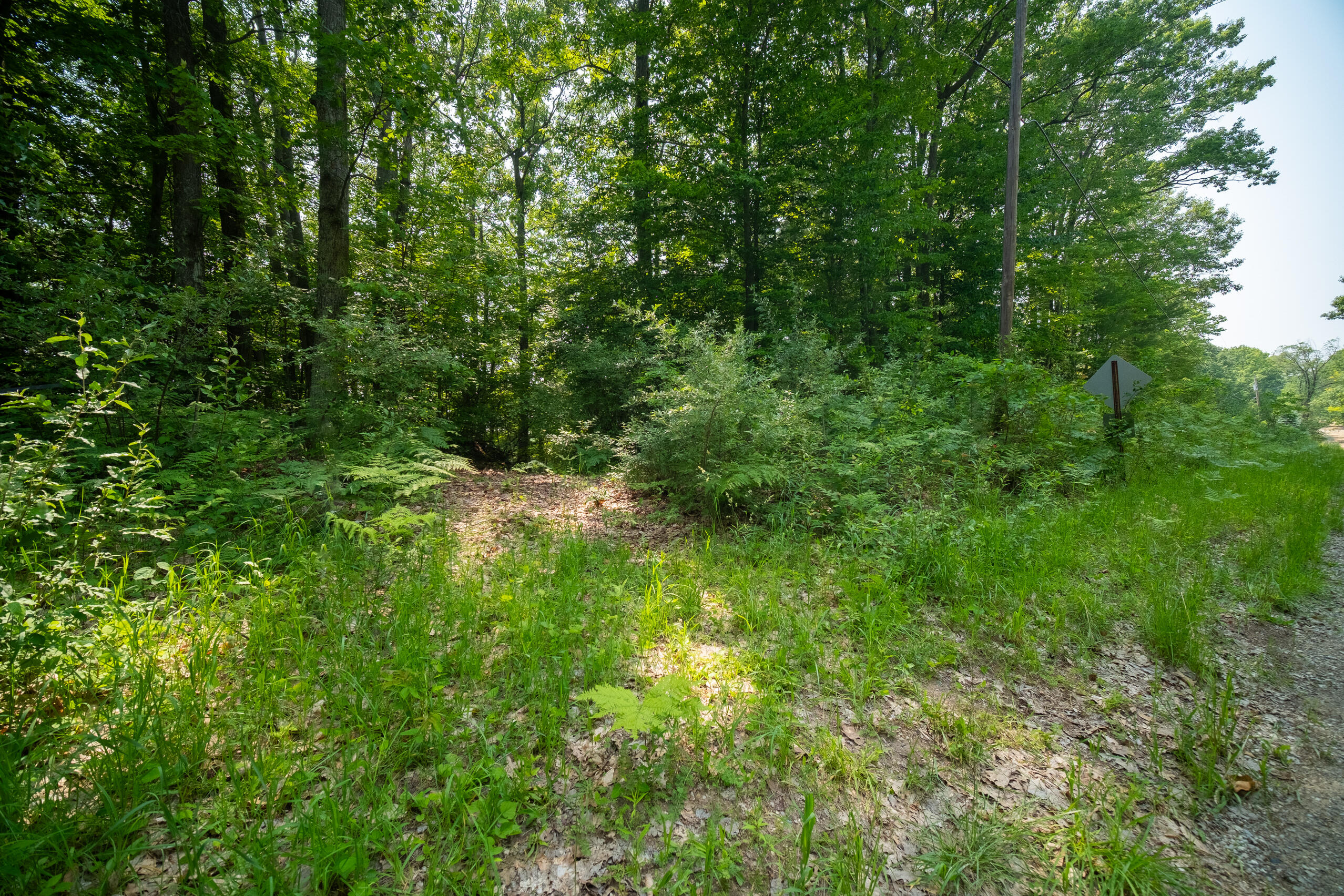 East Trail Ridge Road, Unit 5658 Fountain, MI 49410 - Photo 9 of 38 Additional Photo