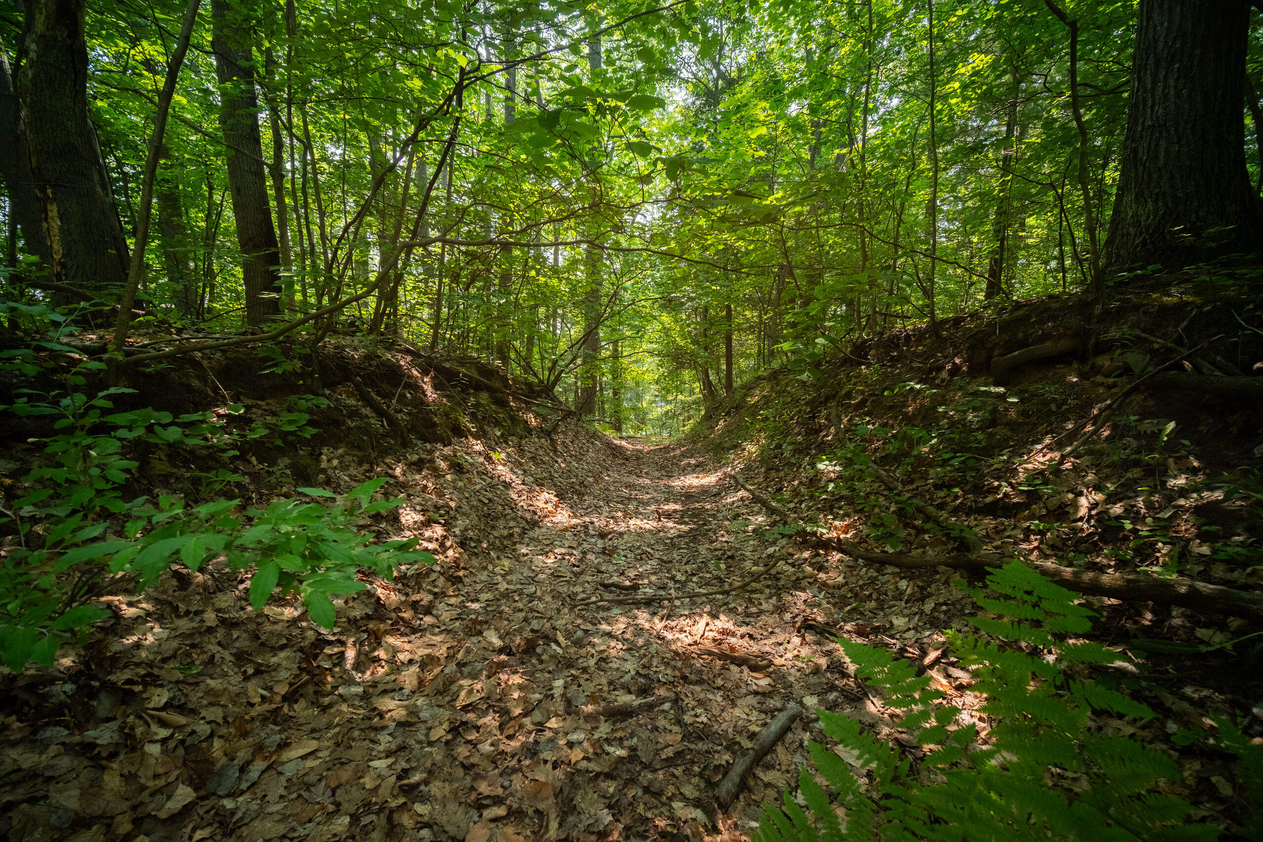 East Trail Ridge Road, Unit 5658 Fountain, MI 49410 - Photo 10 of 38 Additional Photo