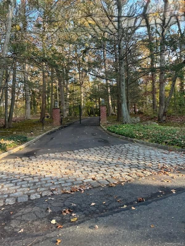 342 Woodbury Road Cold Spring Harbor, NY 11724 - Photo 28 of 29 a view of a yard with plants and trees