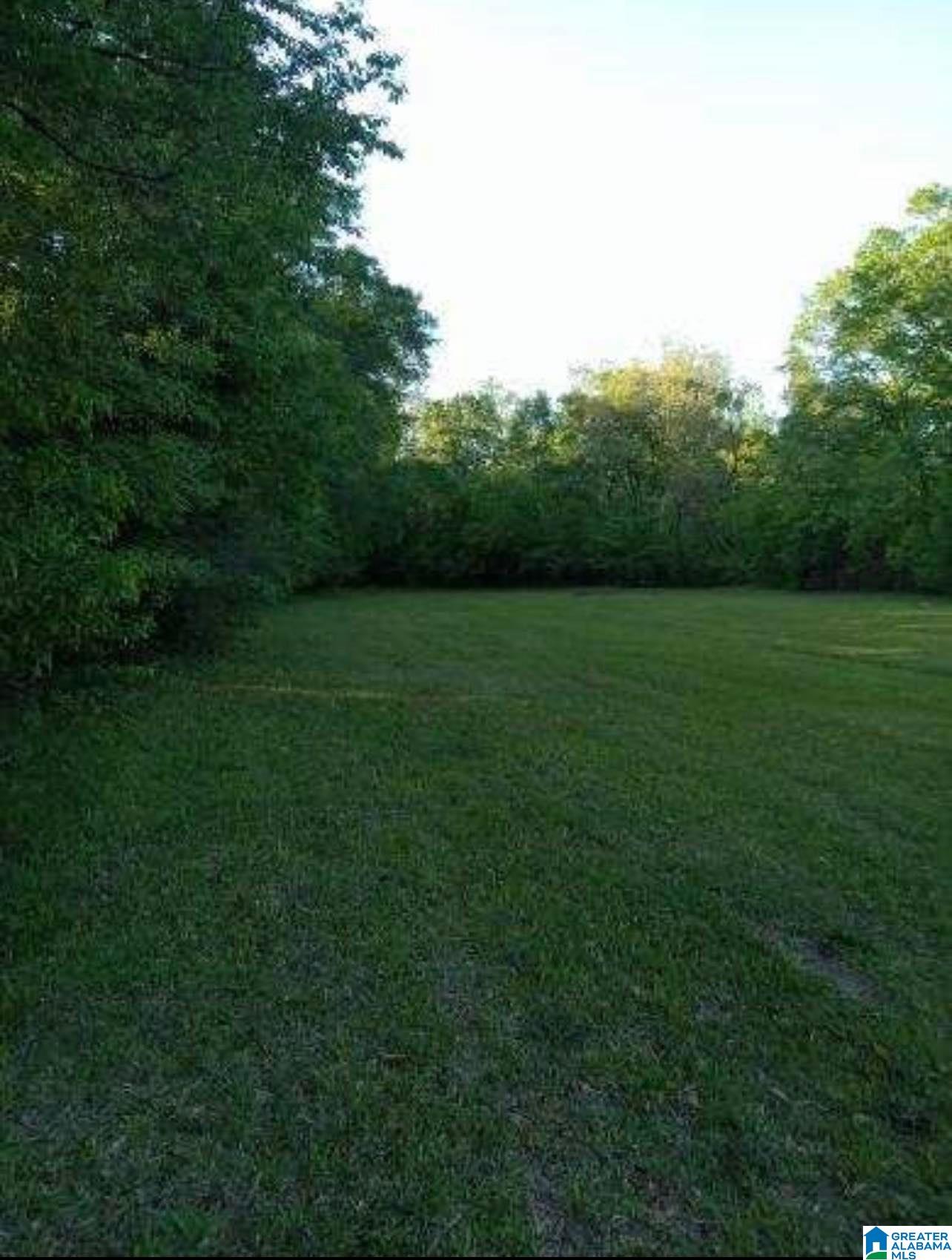 1816 Mt View Road Wellington, AL 36279 - Photo 33 of 33