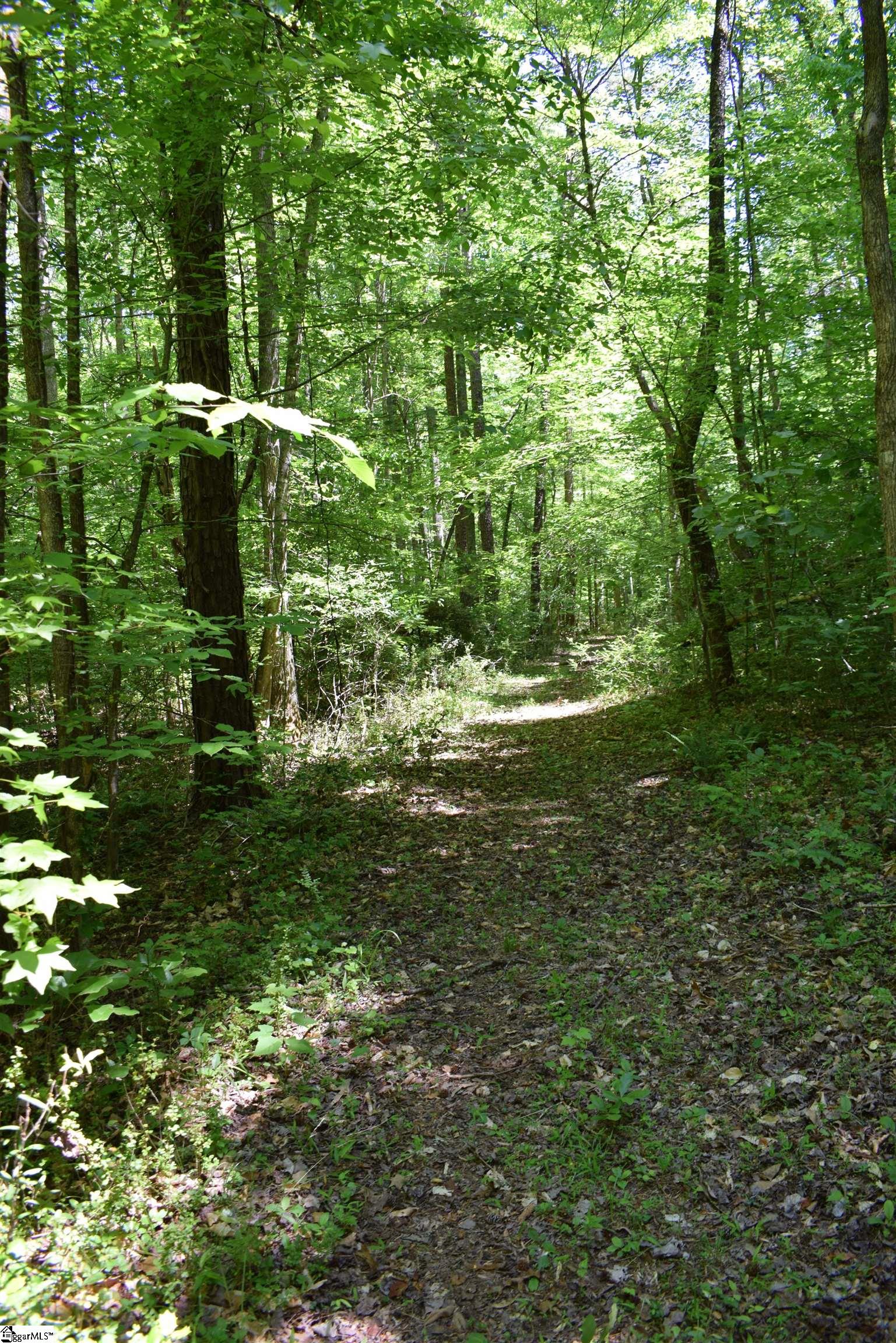 Floyd Blackwell Road Tryon, NC 28782 - Photo 25 of 27