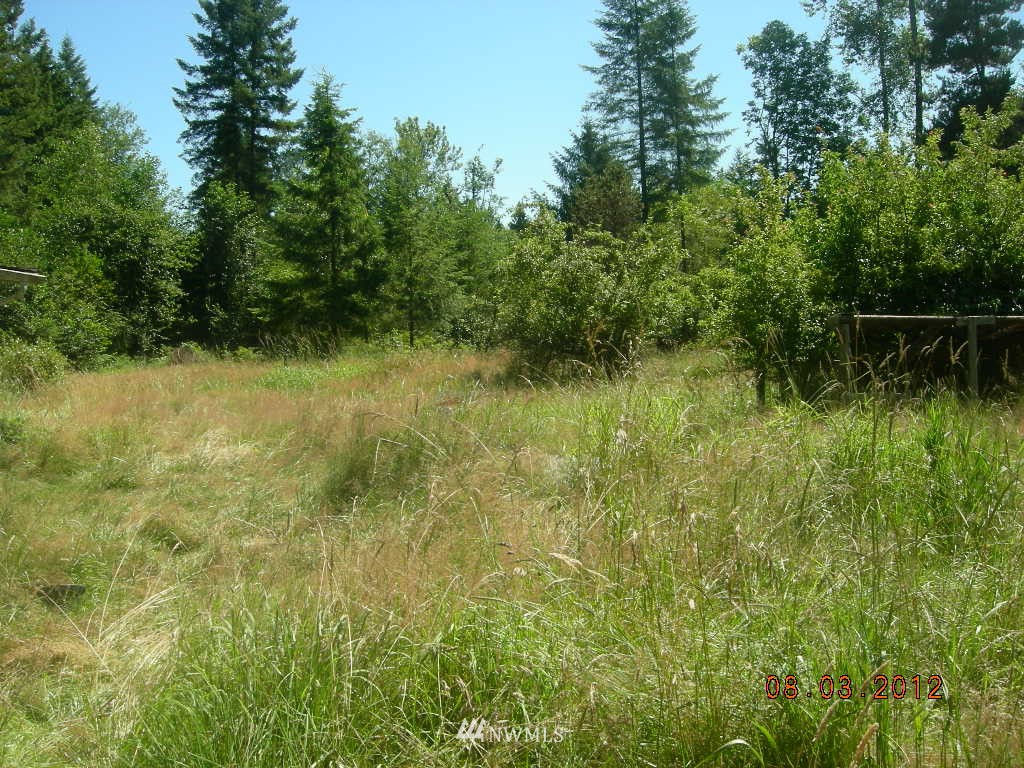169 Tryon Road Onalaska, WA 98570 - Photo 5 of 10 Gallery Image 5