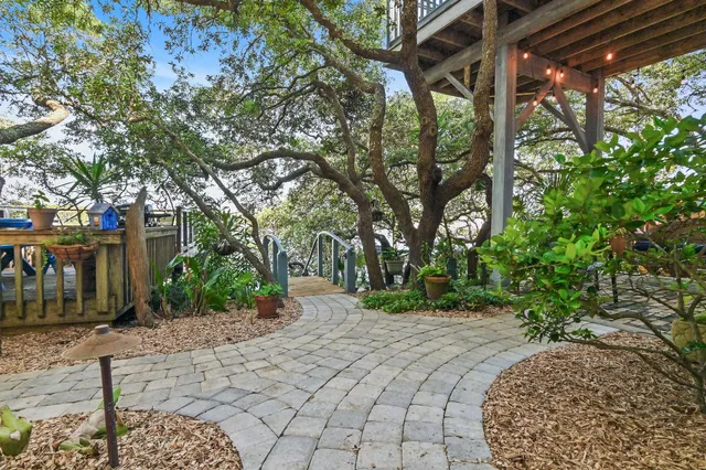 a view of backyard with plants and trees