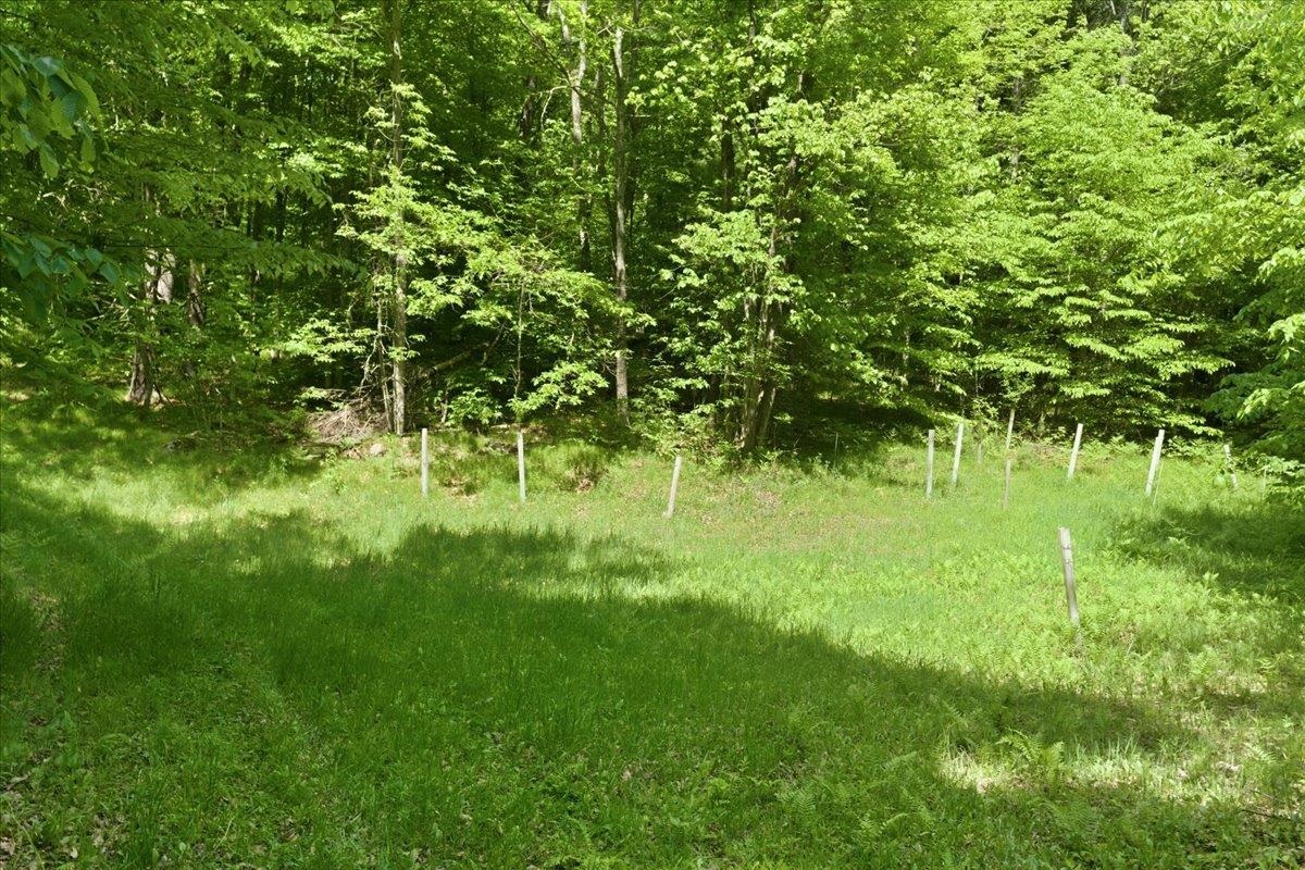 14754 North McComb Lake Road Mountain, WI 54149 - Photo 61 of 82