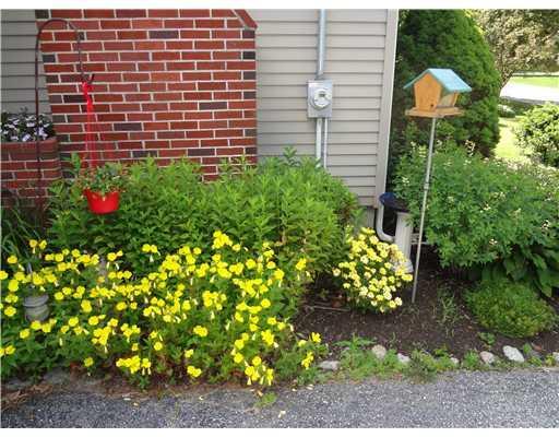 326 Greely Road Cumberland, ME 04021 - Photo 21 of 25 Yard/Garden.