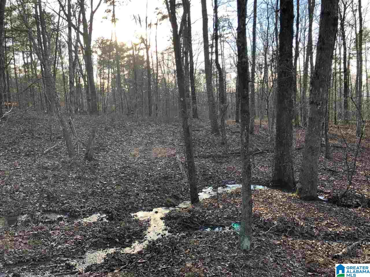 0 Drake Drive Springville, AL 35146 - Photo 17 of 23