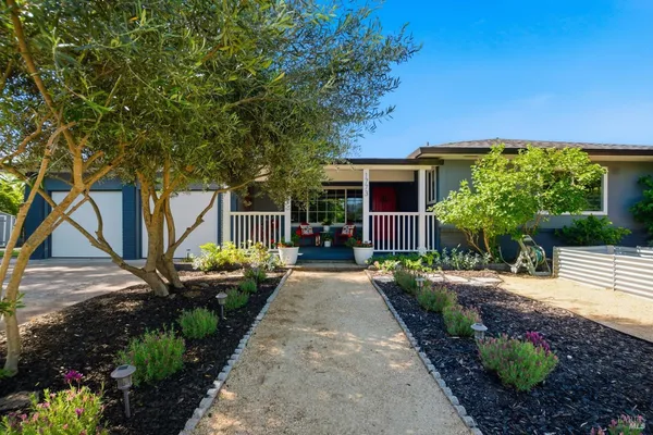 a view of a backyard with potted plants and large tree