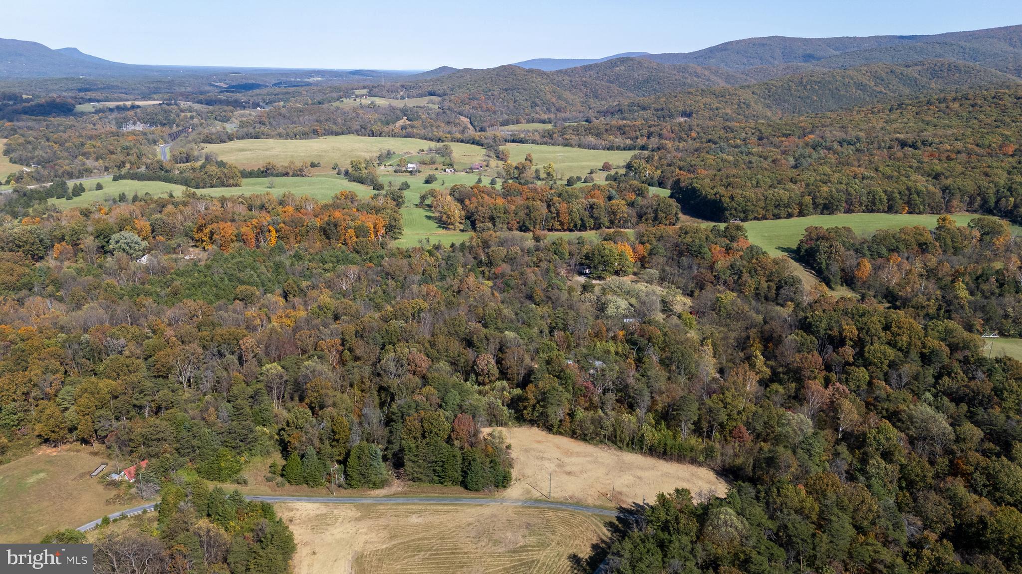 Lot 1 Young Road Rileyville, VA 22650 - Photo 12 of 16 a view of a forest with mountains in the background