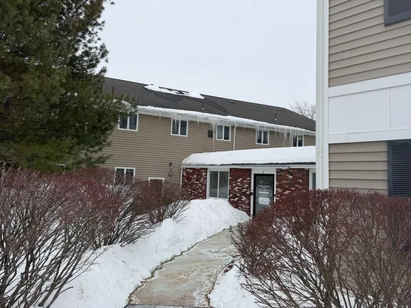 a front view of a house with garden and trees