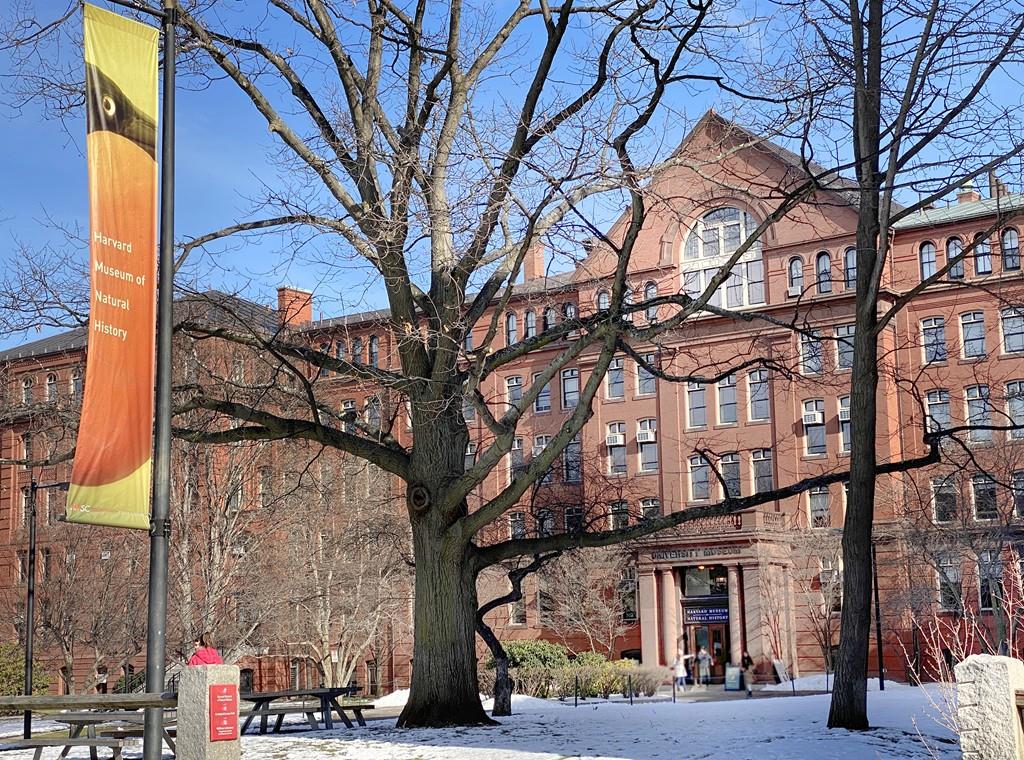 25 Ware Street Cambridge, MA 02138 - Photo 31 of 42