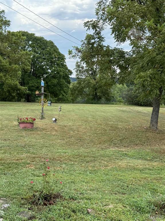 105 Sudhammer Road Dixon, MO 65459 - Photo 11 of 28