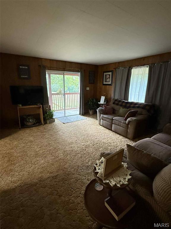 105 Sudhammer Road Dixon, MO 65459 - Photo 22 of 28